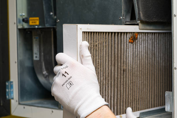 Best Emergency Air Duct Cleaning  in Montevlo, AL