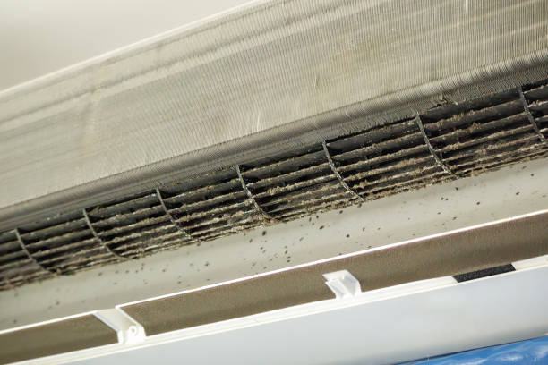 Best Professional Duct Cleaning Services  in Montevlo, AL